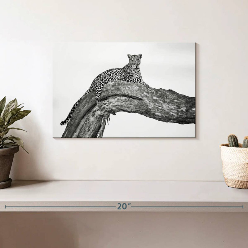 Brampt Resting African Leopard, 8" H x 12" W