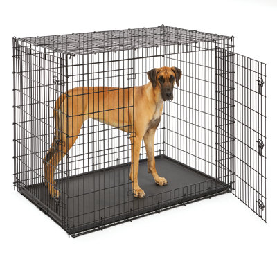 Collapsible Pet Crate with 2 Doors