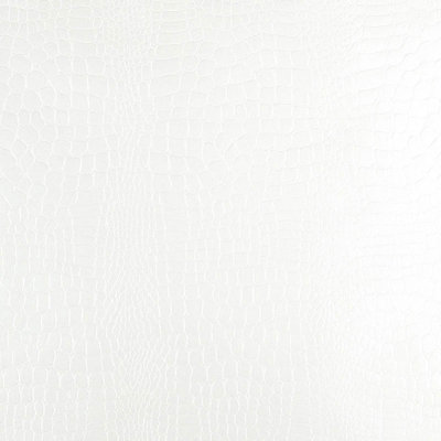 Crocodile Wallpaper