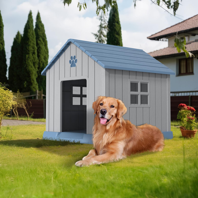 niche pour chien à pignon bleu, H 38,07 po x l 38,62 po x P 36,26 po