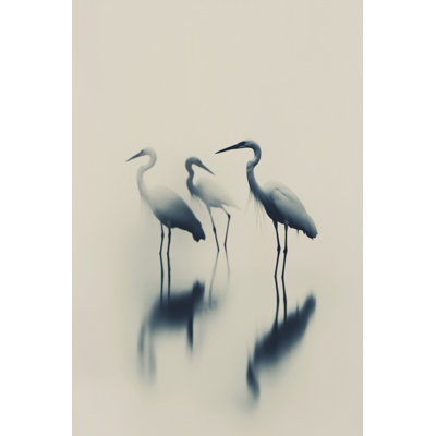 Ethereal Egrets by Treechild — Animal Wall Art