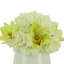 Hydrangea And Cymbidium Floral Arrangement