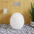 Plaisir Back To Wall Toilet