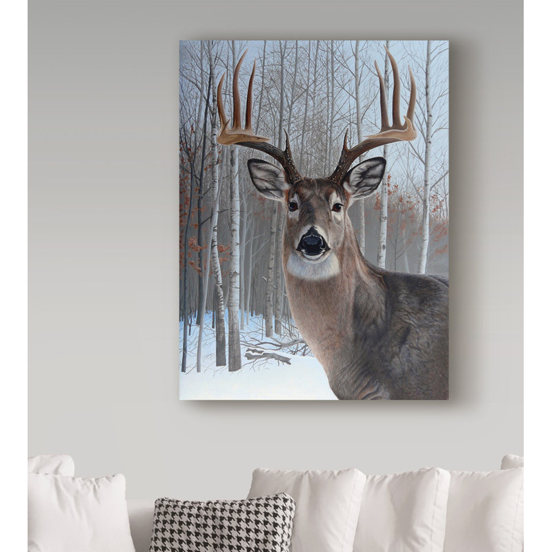 'Deer' Graphic Art Print on Wrapped Canvas, 19" H x 14" W x 2" D