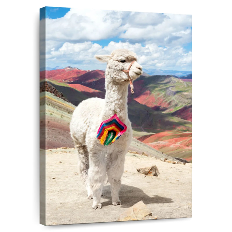 Brampt couleurs du Pérou - Alpaca blanc Palcoyo, H 51 po x l 34 po