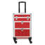 Trousse de train de maquillage en aluminium-100780097