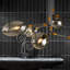 Falcon 6 - Light Chandelier