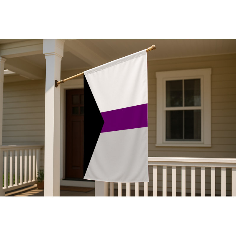 Drapeau Demisexual Pride - drapeau extérieur, 24" H x 36" W