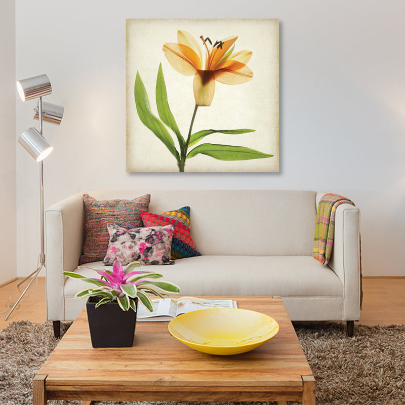 « parchemin floral xi », impression sur toile, H 12 po x l 12 po x P 0,75 po, Toile tendue, Pas de tapis