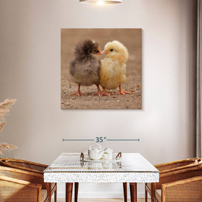 Crowle Pecking Baby Chicks