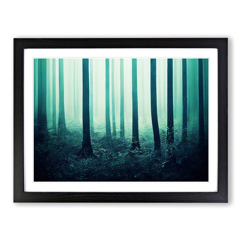 Bedazzled Forest - Single Picture Frame Print, 46cm H x 64cm W x 2cm D, Black Frame