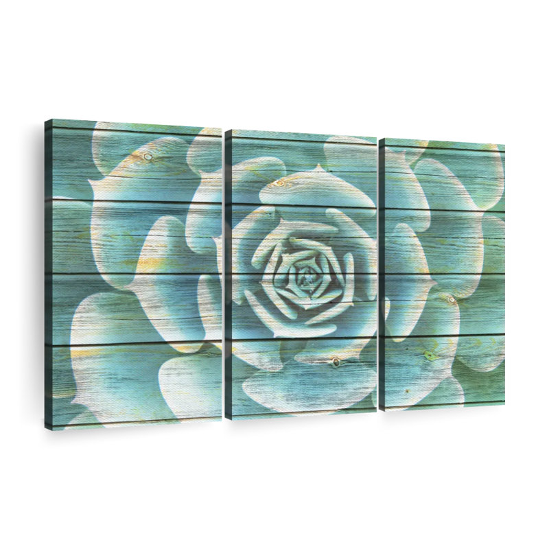 Ensemble de 3 plantes grasses sur toile, H 32 po x l 50 po