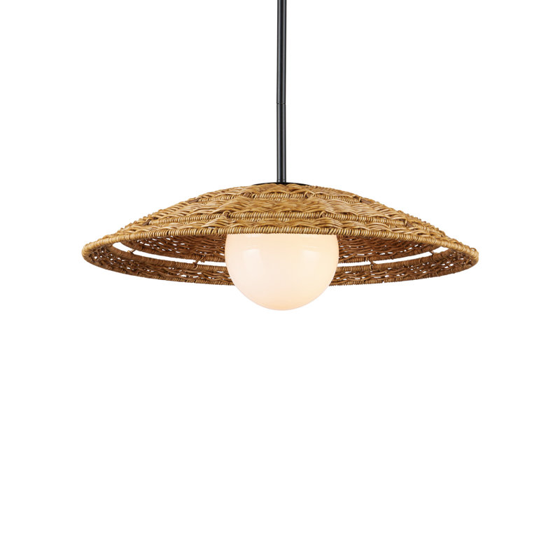 Barbary 1 - Light Pendant, 6.5" H x 20" W x 20" D