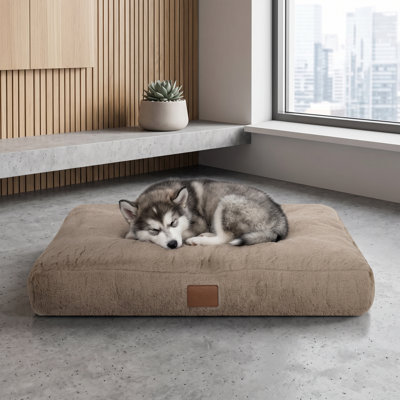 Lit pour chien à deux tons avec traversin DreamListro