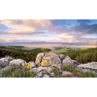 Landscape & Nature Non-Wall Damaging Window Decal