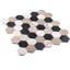 Channing 2 in. Hexagon Honeycomb Mosaic Tile-50210687