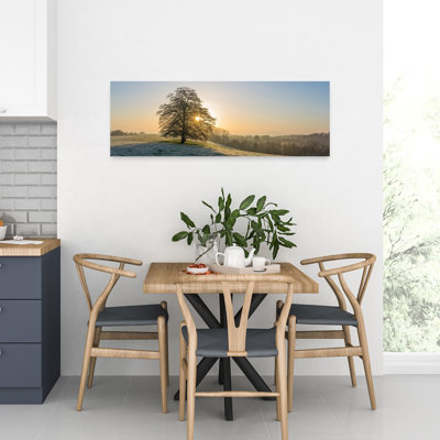 Lever du soleil à travers l'hiver, arbre paisible, paysage serein tranquille, art mural