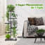 Plant Stand - Set of 6