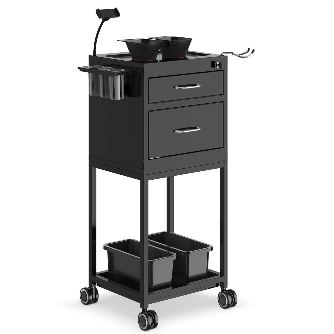 Rolling Craft Cart Metal Storage Cart with Lockable Drawer Salon SPA Trolley Rebrilliant