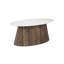 Marble Coffee Table