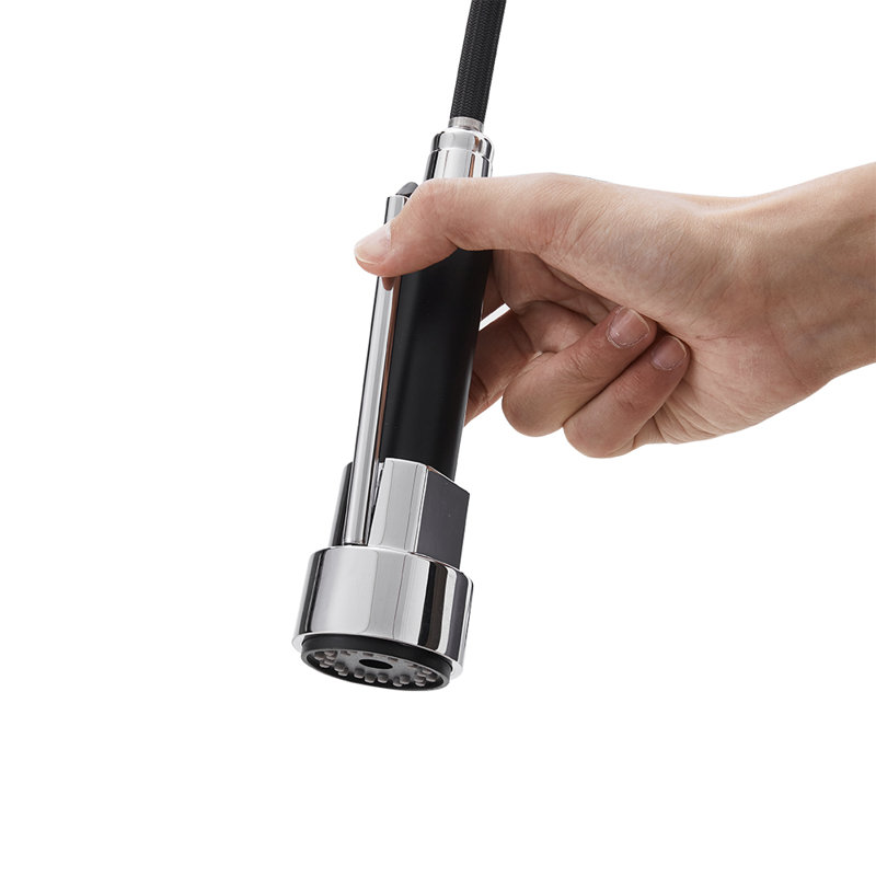 Belfry Kitchen Pull Out Kitchen Faucet