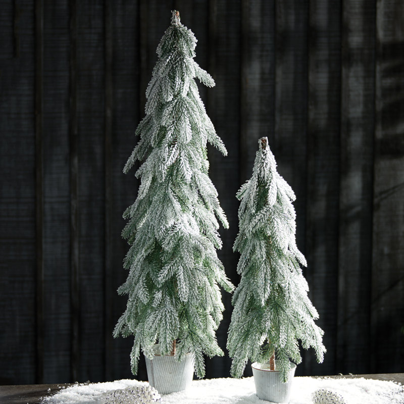 Arbre enneigé en pot