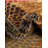 Apex Abstract Indoor Rug-1083597802