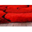 Tadeo Floral Area Rug-27616200