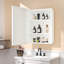 Armoire à pharmacie avec miroir et 3 tablettes Cyrille-1961871685-1961870887