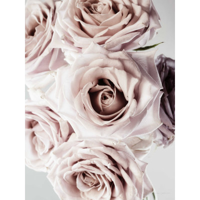 " Dusty Rose Cluster " by Elise Catterall