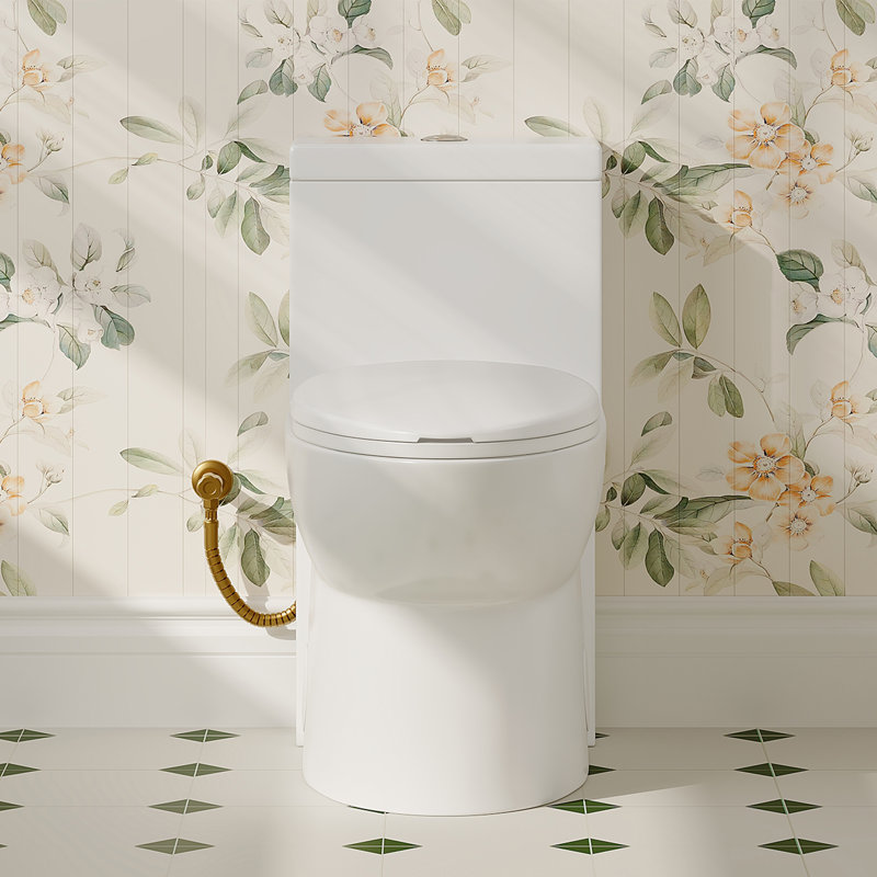 Oakshire Elongated One-Piece Toilet w/ Glazed Surface, 17.3" Comfortable Height, 1.1/1.6 GPF Dual Flush w/ MaP 1000g, cUPC & CEC Certified, 12-inch Rough-in