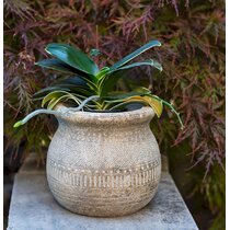 Artificial Evergreen Plant in Pot (Set of 2) Dakota Fields