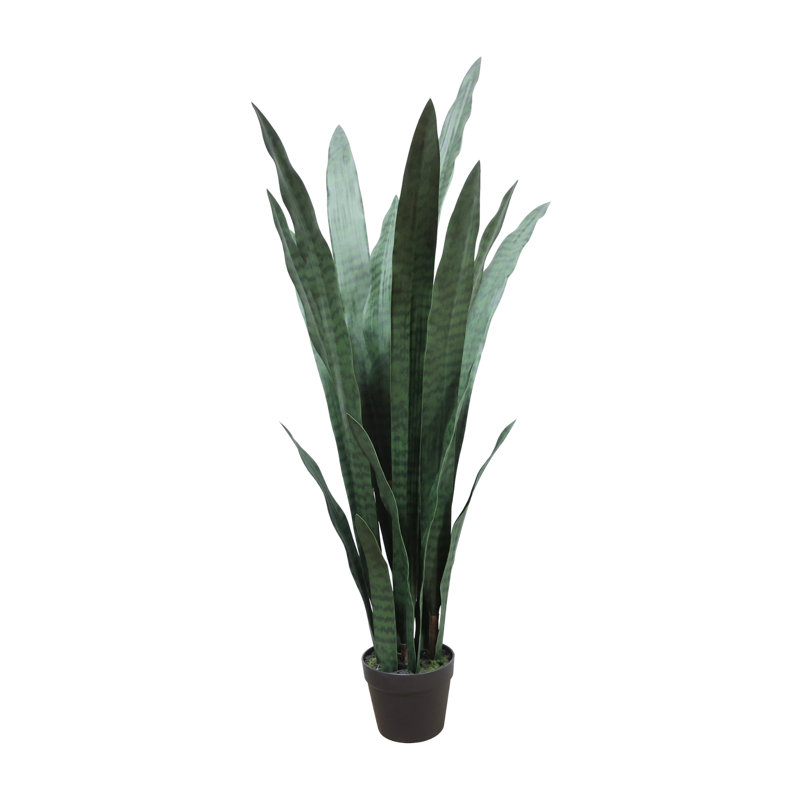 Snake Plant Drop-In, Dark Green