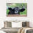 Brampt Nosy Ranch Cow-107707830