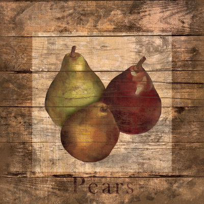 PearsII 1 Piece Wrapped Canvas Painting