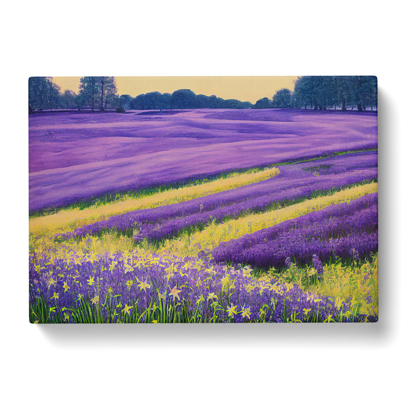 Mystical Bluebell Field - Wrapped Canvas, 50cm H x 76cm W x 3cm D