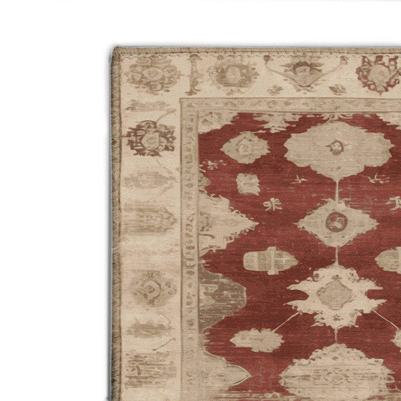 Tapis intérieur et extérieur brun Overdyed, Rectangulaire 2 pi x 3 pi