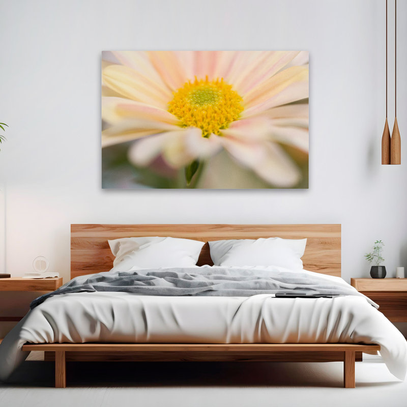 Plantes, fleurs, paysage, nature, marguerite d'été, art mural, H 40 po x l 60 po
