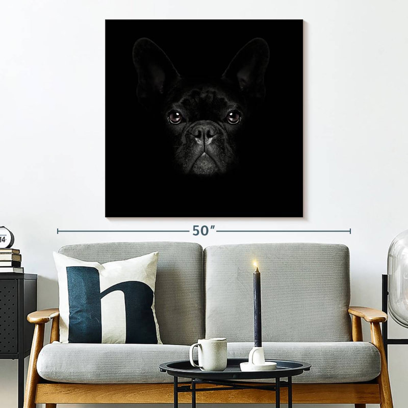 Crowle, bouledogue français mystérieux, H 33 po x l 33 po