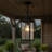 Benedita Outdoor Hanging Lantern