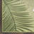 Nourison Suncoast 7'10" x 9'10" Green Tropical Rug-972003019-965976473