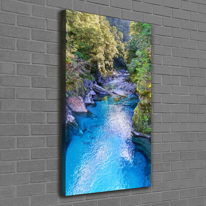 Dahlonega River In The Forest - Print