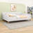 Queen Upholstered Daybed with Support Legs-383548260