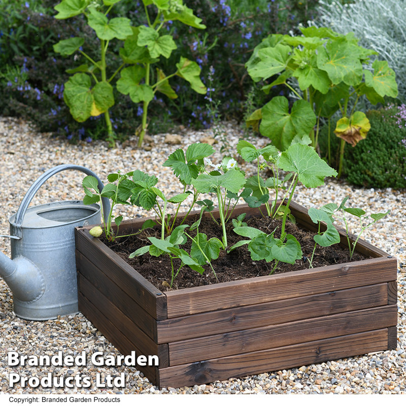 Maisie Wood Raised Flower Bed 110x90cm (x2), 66Cm H x 27Cm W x 24Cm D