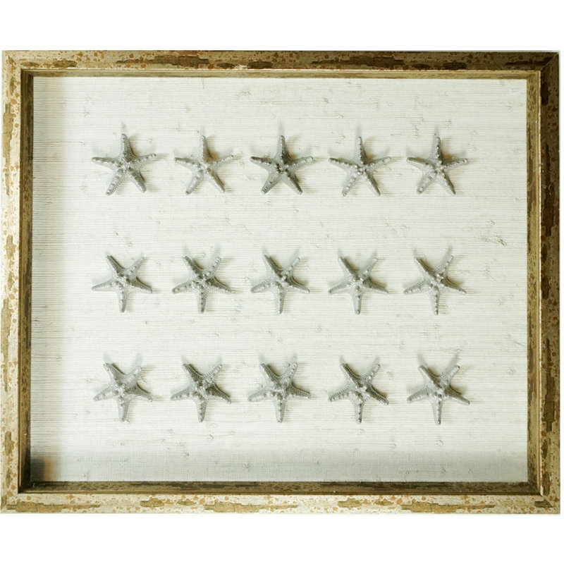 Sealife Print