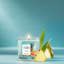  Petite bougie parfumée Bahama Breeze-1631702743