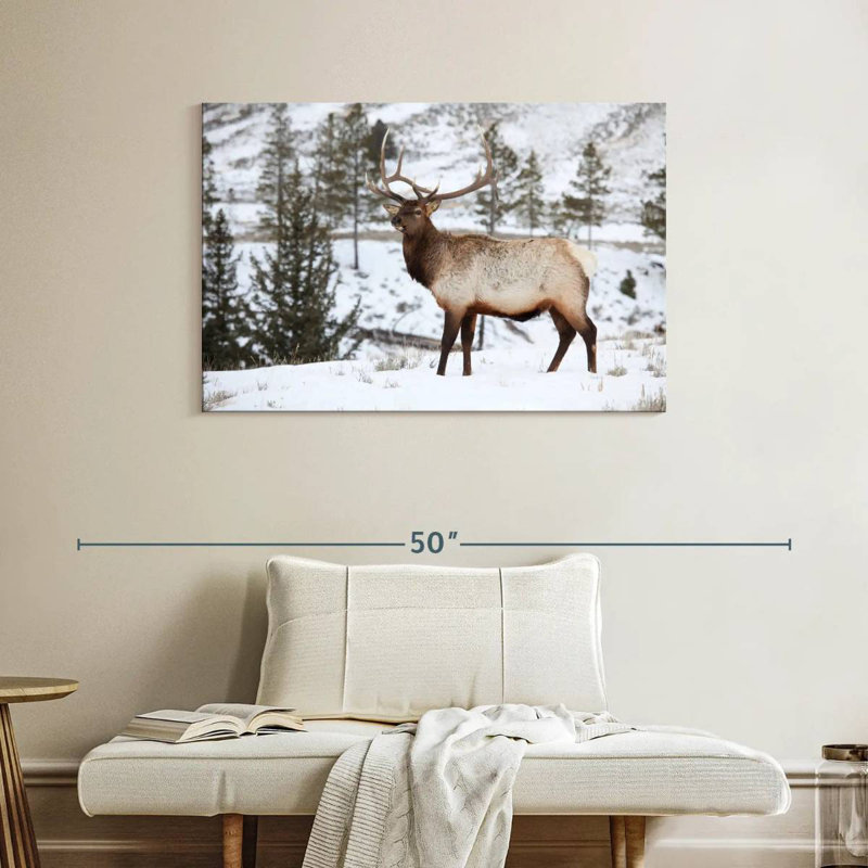 Wapiti d'hiver, H 26 po x l 39 po