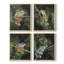«Watercolor Tree Frogs I», reproduction encadrée-604605385-604605387