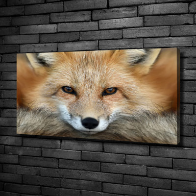 Fox - Wrapped Canvas Print