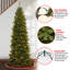 The Holiday Aisle® North Valley Spruce Pencil Slim Tree with Clear Lights-900052100
